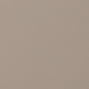 Allante Light Neutral sample swatch Lt Neutral