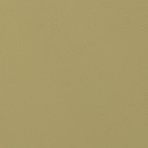 Allante Parrot sample swatch