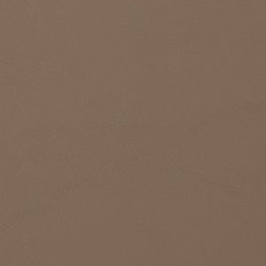 Allante Tumbleweed sample swatch