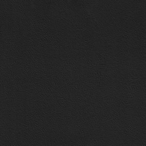 Maverick Black sample swatch