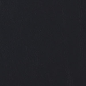 Sierra Black sample swatch
