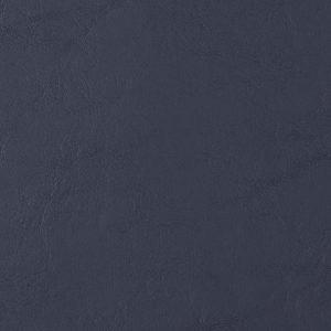 Allante Black sample swatch
