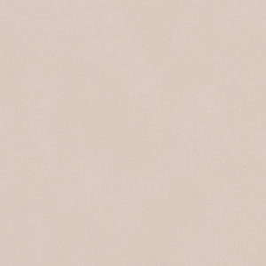 Biscayne Beige sample swatch