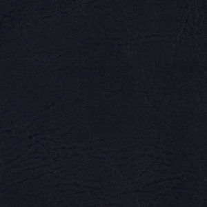 Biscayne Black sample swatch