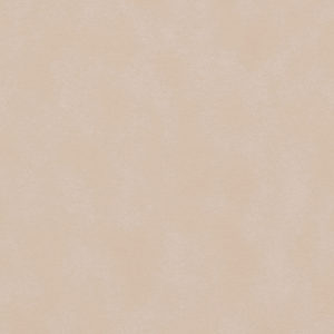 Biscayne Bone sample swatch