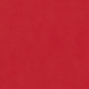 Biscayne Fire Red sample swatch