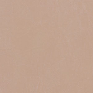 Biscayne Sand Tan sample swatch