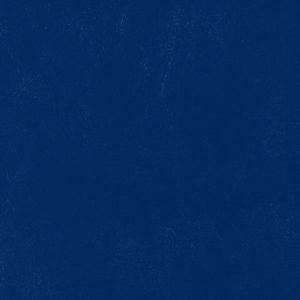 Catalina Marlin Blue sample swatch