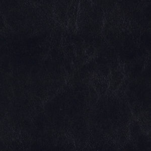 Catalina Orca Black sample swatch