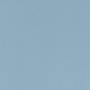 Dauphine Wedgewood sample swatch