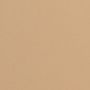 Duration Cinnamon sample swatch