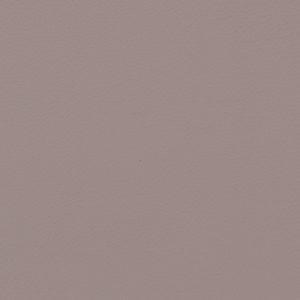 Extraordinaire Light Neutral sample swatch