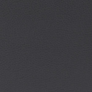 Extraordinaire Black sample swatch