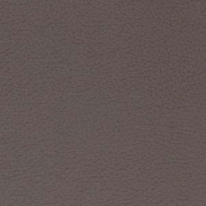Extraordinaire Espresso sample swatch