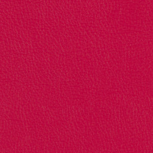 Extraordinaire Red sample swatch