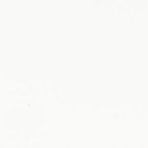 Extraordinaire White sample swatch