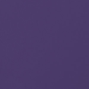 Knockout Purple sample swatch