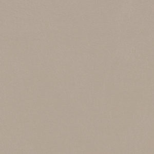 Monticello Shale sample swatch
