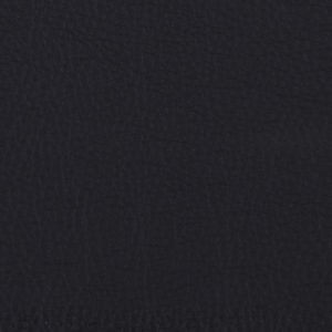 Prodigy Black sample swatch