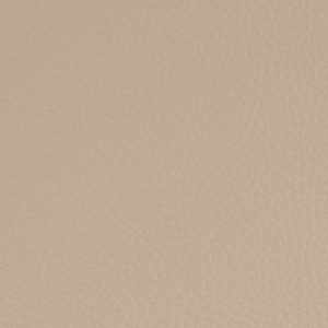 Prodigy Cream sample swatch