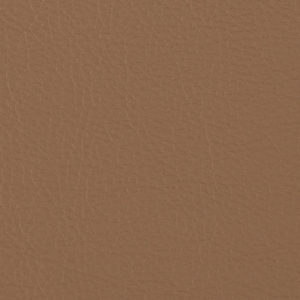 Prodigy Empire Tan sample swatch