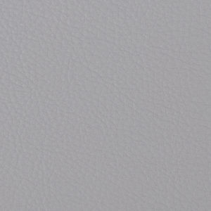 Prodigy Grey sample swatch