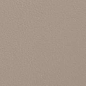 Prodigy Light Neutral sample swatch
