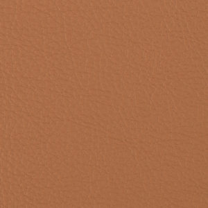 Prodigy Ochre sample swatch