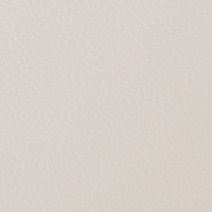 Prodigy White sample swatch