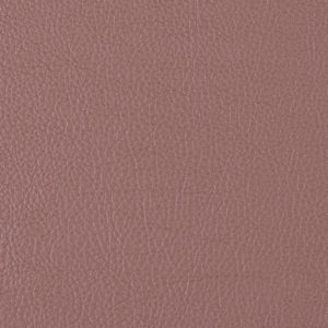 Prodigy Equestrian sample swatch