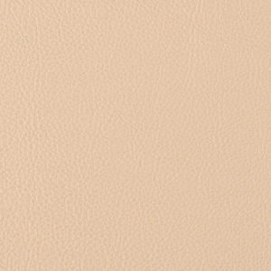 Prodigy Maple sample swatch