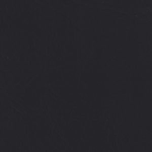 Rawhide Black sample swatch