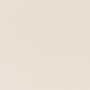 Sanibel Bisque sample swatch