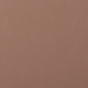 Sierra Beechwood sample swatch