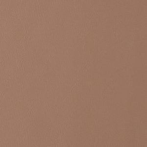 Sierra Beige sample swatch
