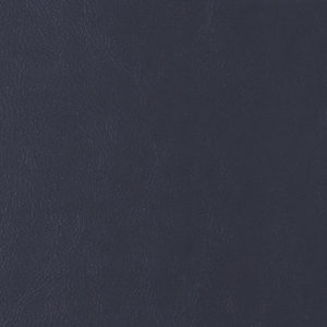 Sierra Graphite sample swatch