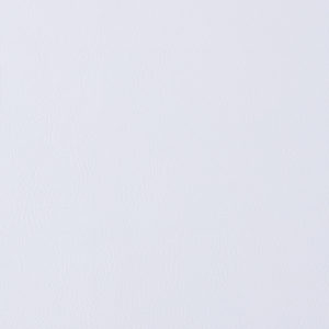 Sierra Oxford White sample swatch
