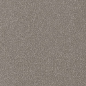Vitality Slate sample swatch