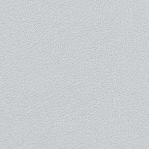 Vitality Sterling sample swatch