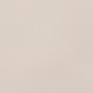 Endurance Colonial White sample swatch