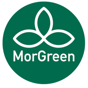 MorGreen sustainability icon