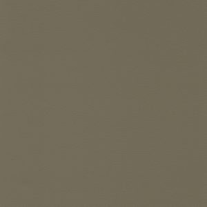 Taupe Fawn / AF-911