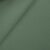 Winter Green
