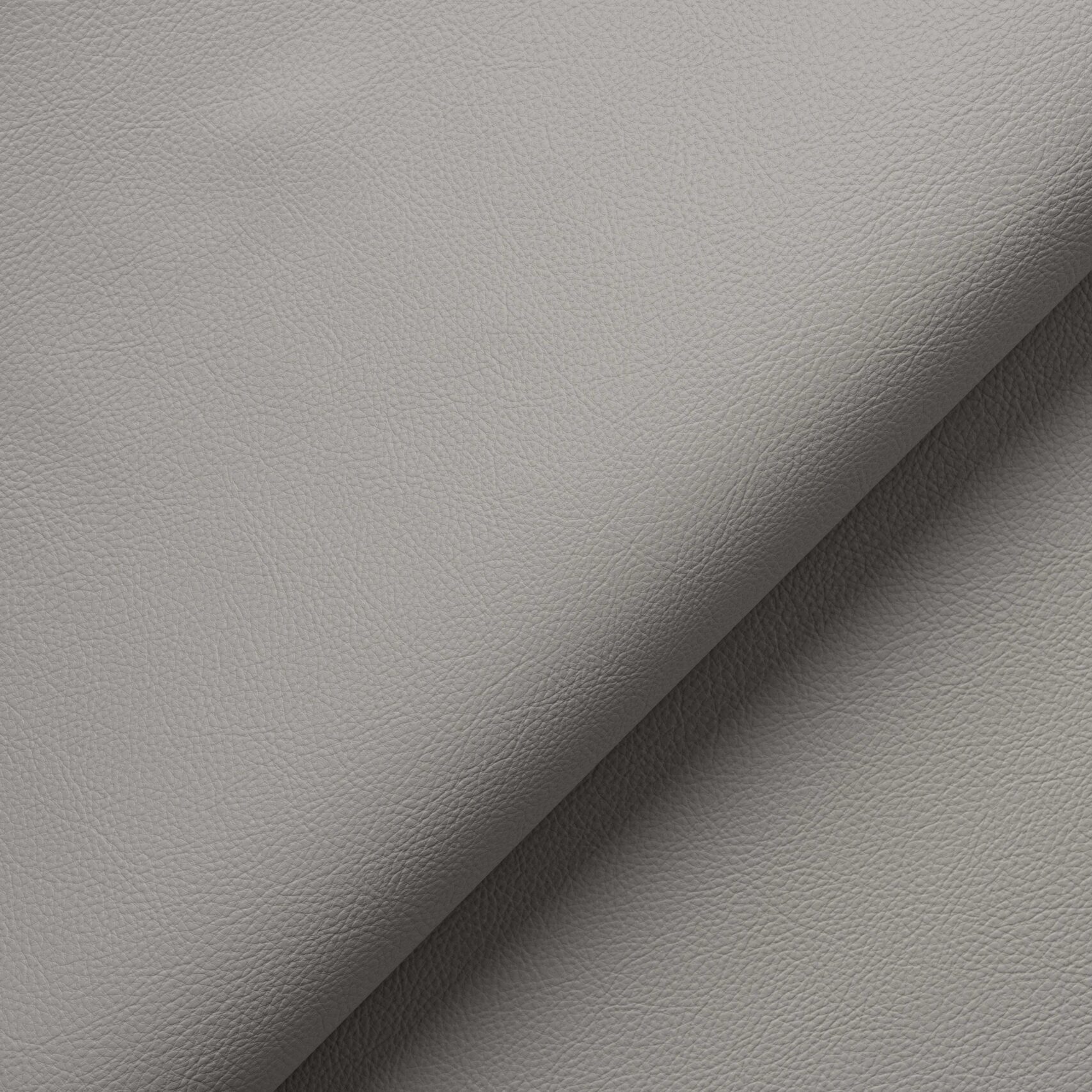 Protege - Image 5